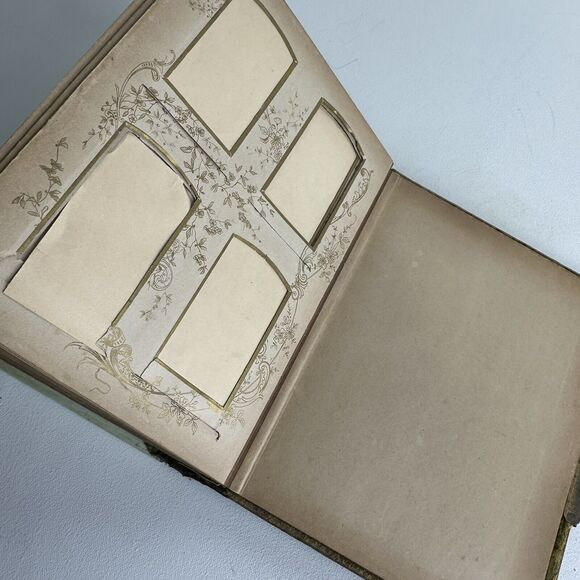 Antique Celluloid Repousse floral Cabinet Card Album ephemera art project Damage - Picture 10 of 14